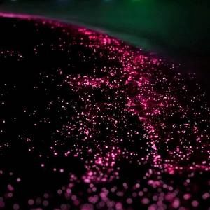 Meet your Posher, Loretta